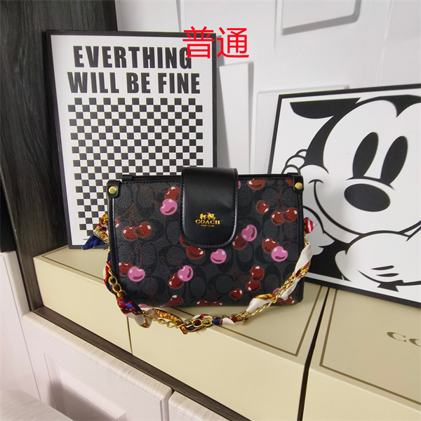 Coach small bag-1781