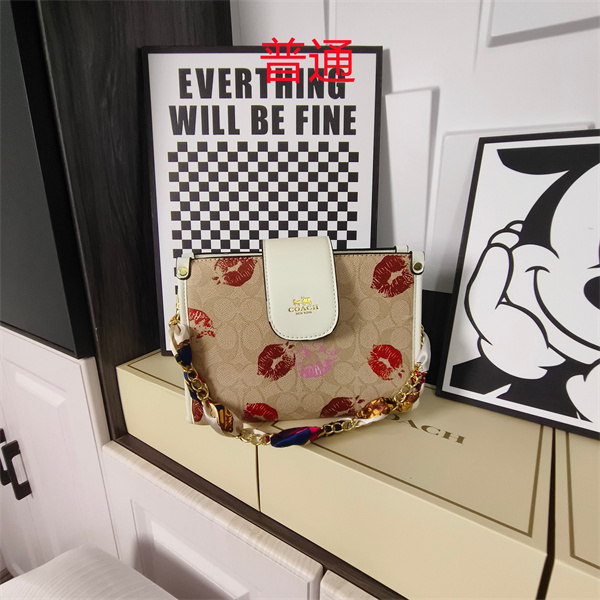 Coach small bag-1786