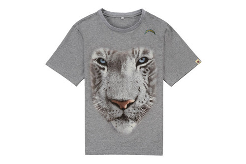 NFL T-shirt-M(10)-309