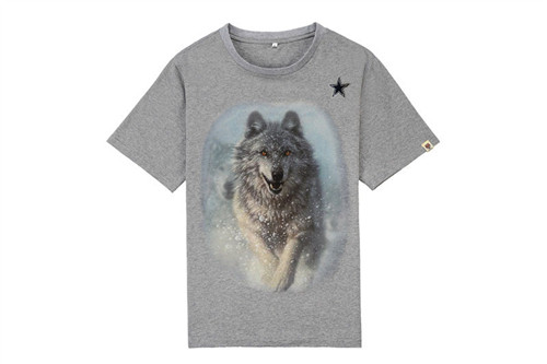 NFL T-shirt-M(10)-311