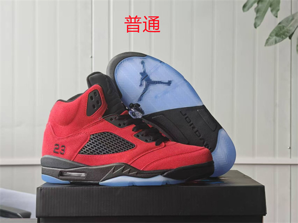 Jordan5-M-0081