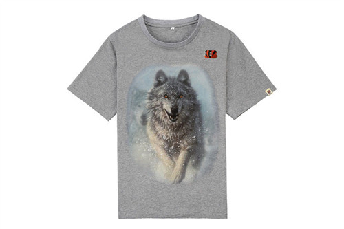 NFL T-shirt-M(10)-333