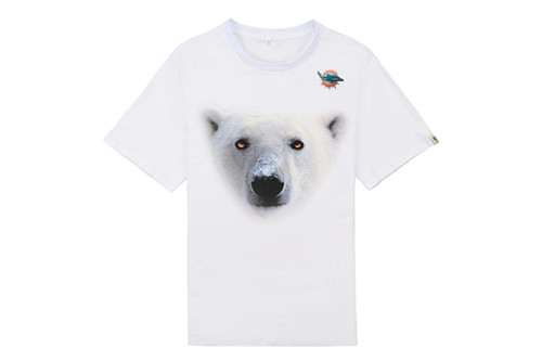 NFL T-shirt-M(10)-130