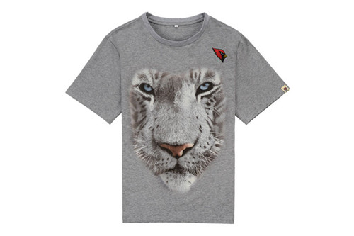 NFL T-shirt-M(10)-338