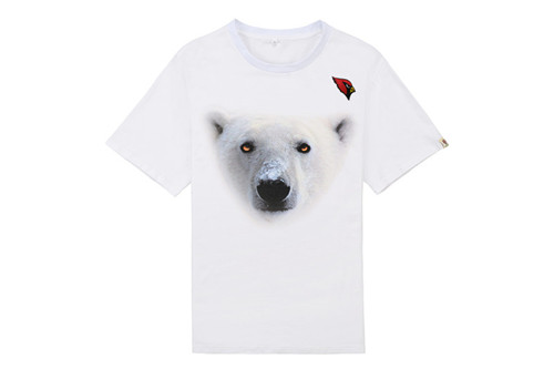 NFL T-shirt-M(10)-142