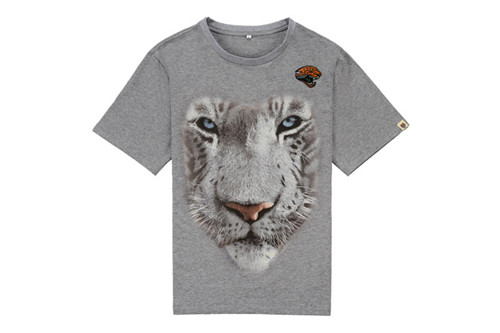 NFL T-shirt-M(10)-358