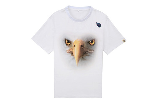 NFL T-shirt-M(10)-183