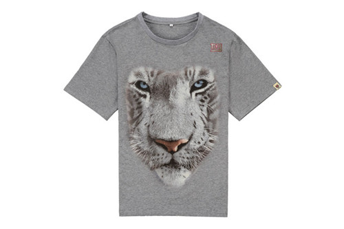 NFL T-shirt-M(10)-374