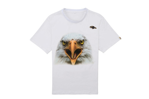 NFL T-shirt-M(10)-235