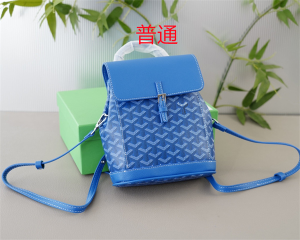 Goyard bag-0029