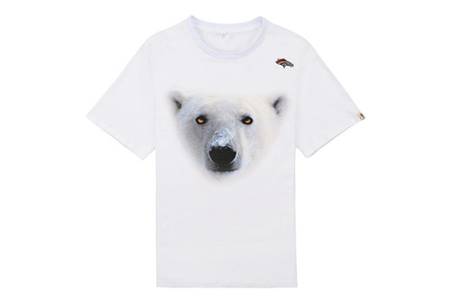 NFL T-shirt-M(10)-245