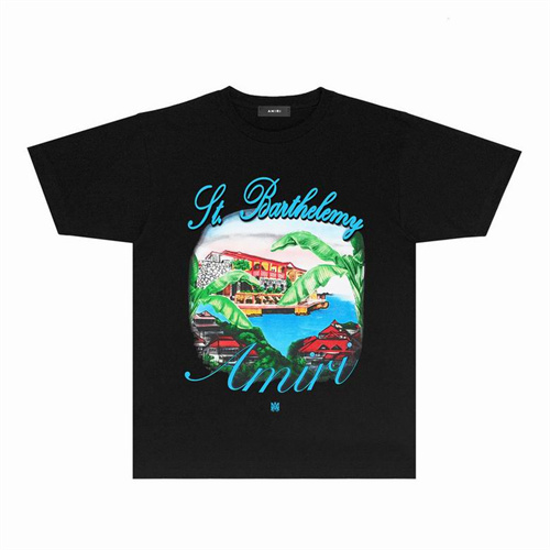 Amiri Round neck T-shirt-M(1)-1754