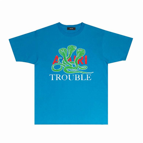 Amiri Round neck T-shirt-M(1)-1971