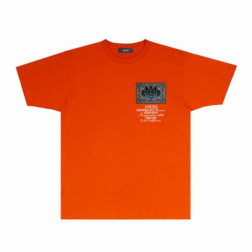 Amiri Round neck T-shirt-M(1)-2038