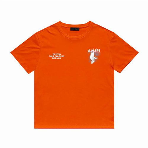 Amiri Round neck T-shirt-M(1)-0765