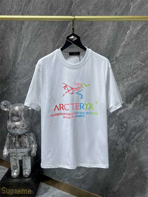 Arcteryx Round neck T-shirt-M-040
