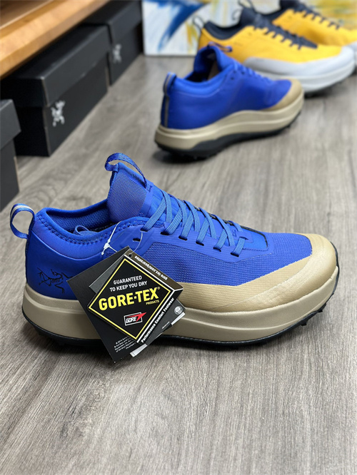 Arcteryx Shoes-M-0018