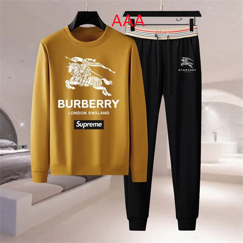 Buberry(AAA)suits-0123