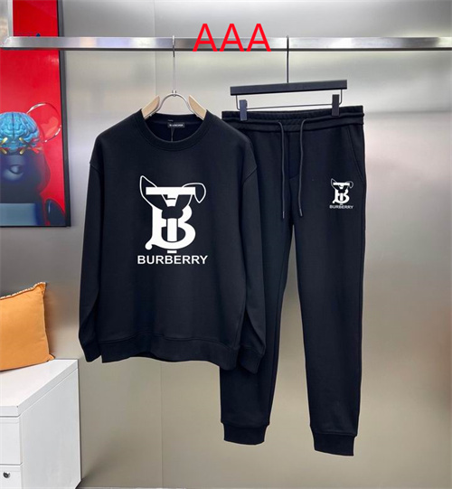 Buberry(AAA)suits-0351