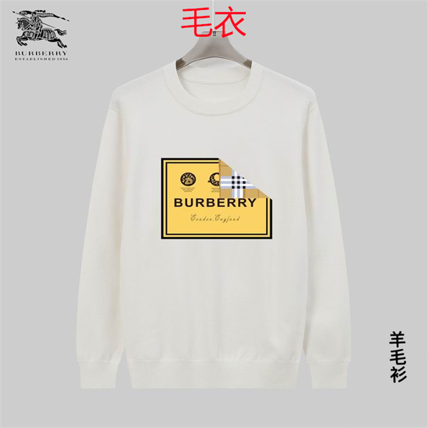 Burberry(Man)Sweaters-0373
