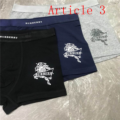 Burberry underwear-042