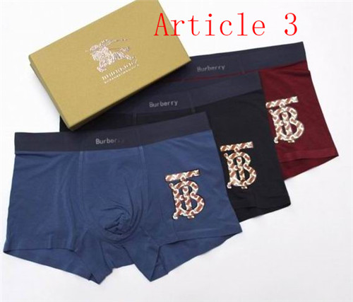 Burberry underwear-047