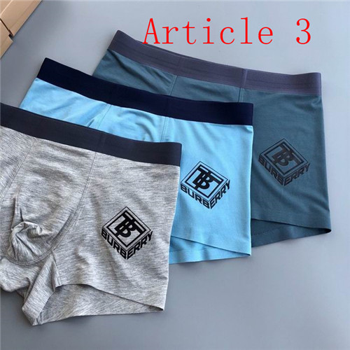 Burberry underwear-030