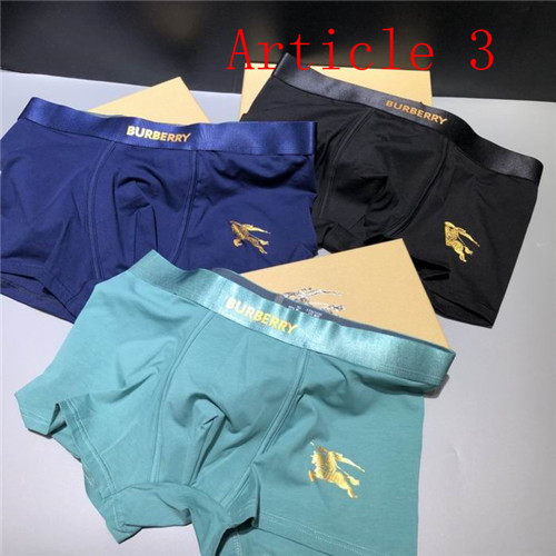 Burberry underwear-031