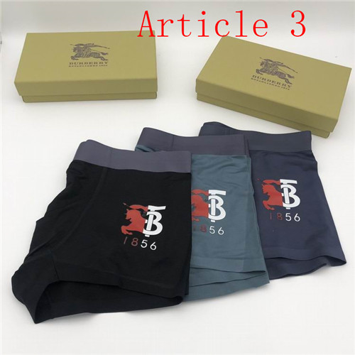 Burberry underwear-033