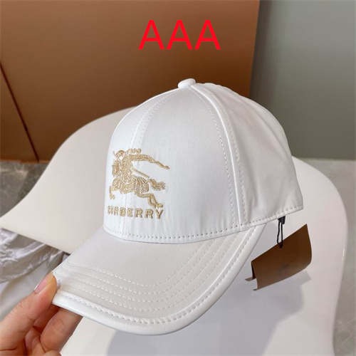 Burberry-Cap(AAA)-101