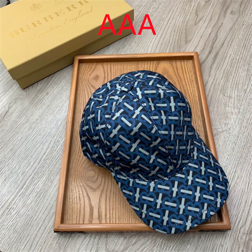 Burberry-Cap(AAA)-104