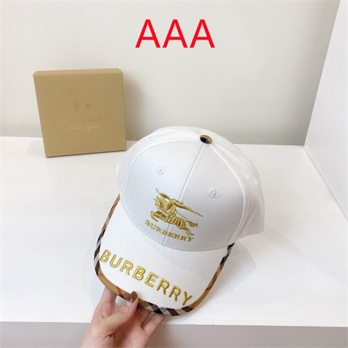 Burberry-Cap(AAA)-165