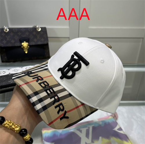 Burberry-Cap(AAA)-170
