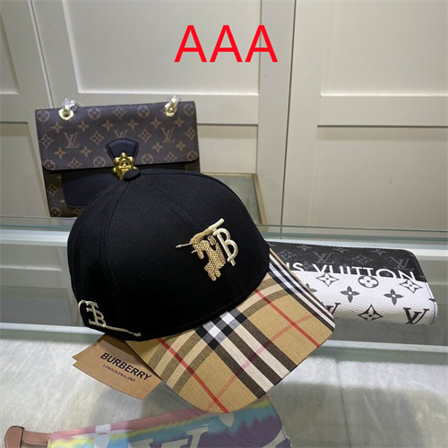 Burberry-Cap(AAA)-180