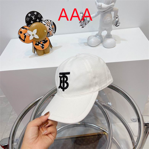 Burberry-Cap(AAA)-020