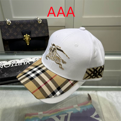 Burberry-Cap(AAA)-202