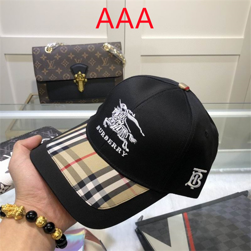 Burberry-Cap(AAA)-228