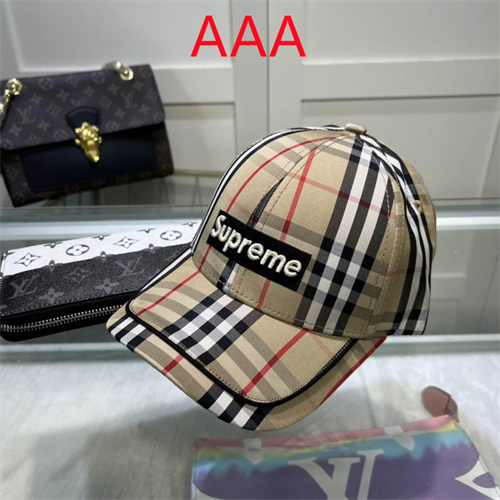 Burberry-Cap(AAA)-256