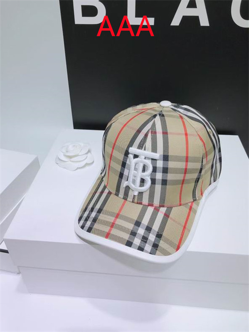 Burberry-Cap(AAA)-055