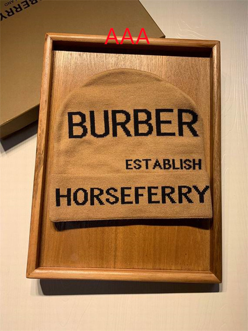 Buberry Beanies(AAA)-006