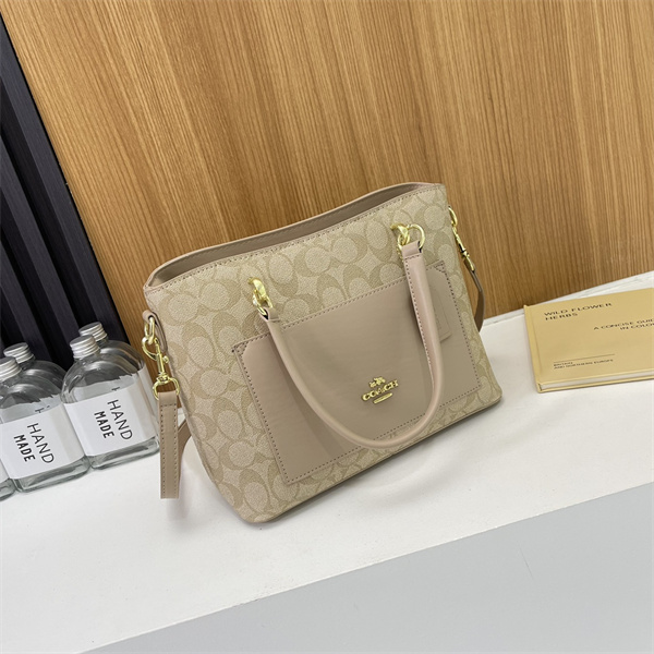 Coach bag-0101