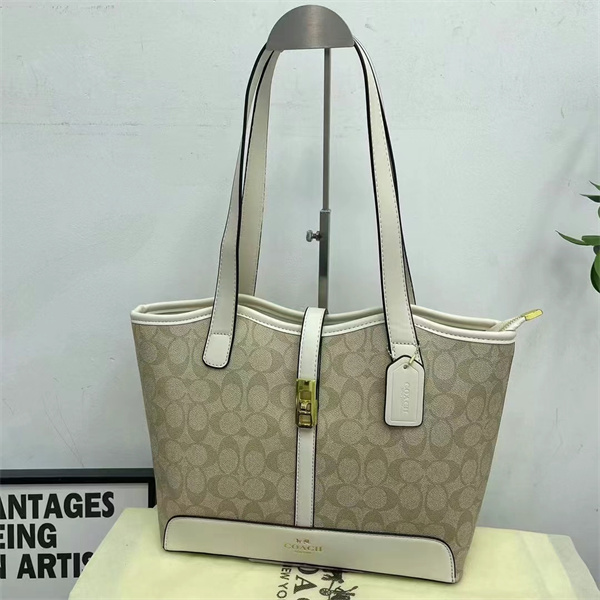 Coach bag-0113