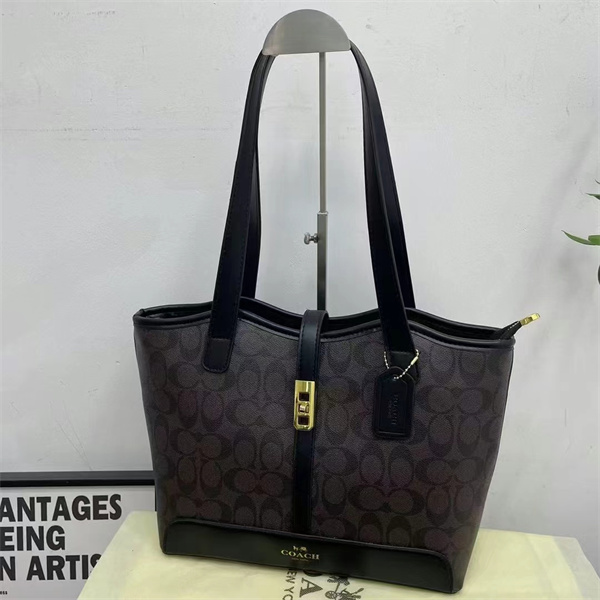 Coach bag-0117