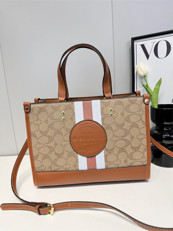 Coach bag-0122