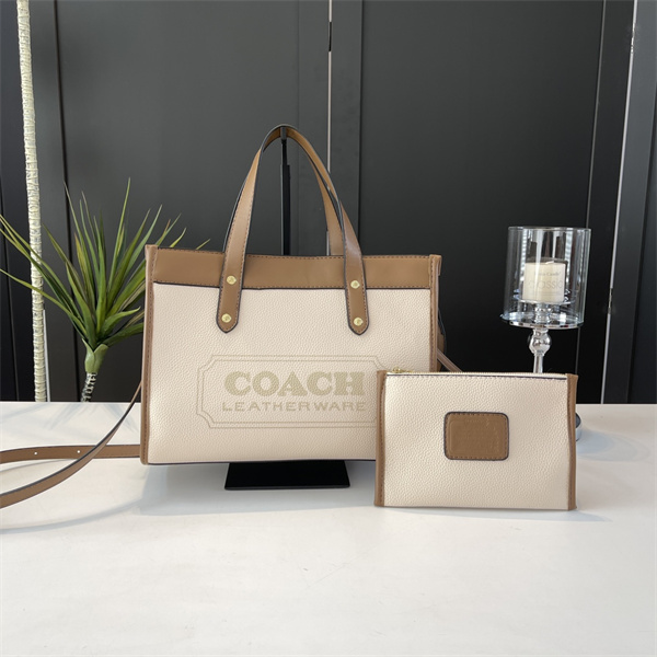 Coach bag-0127