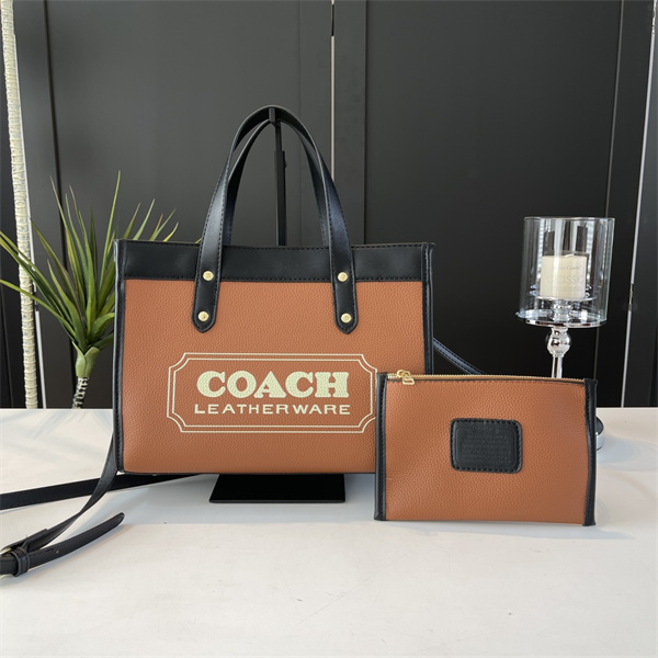 Coach bag-0130