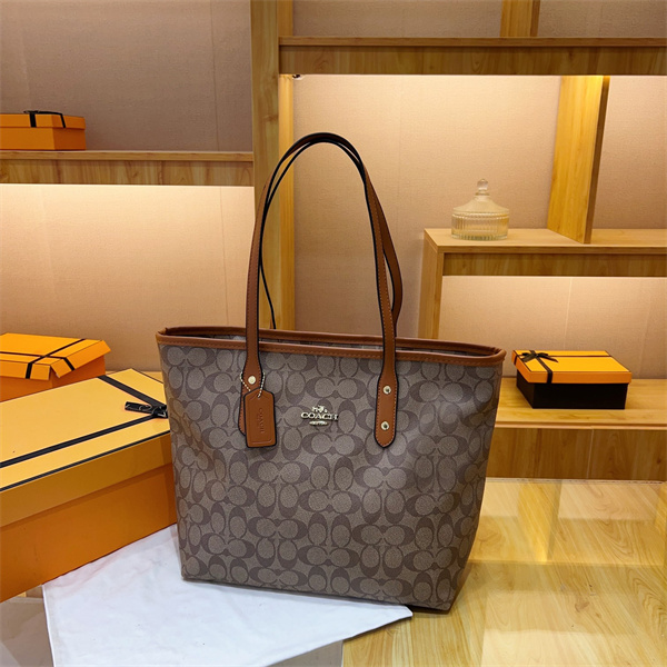 Coach bag-0149