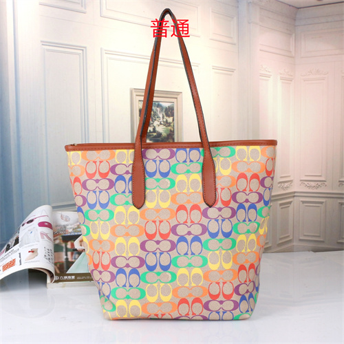 Coach bag-0016