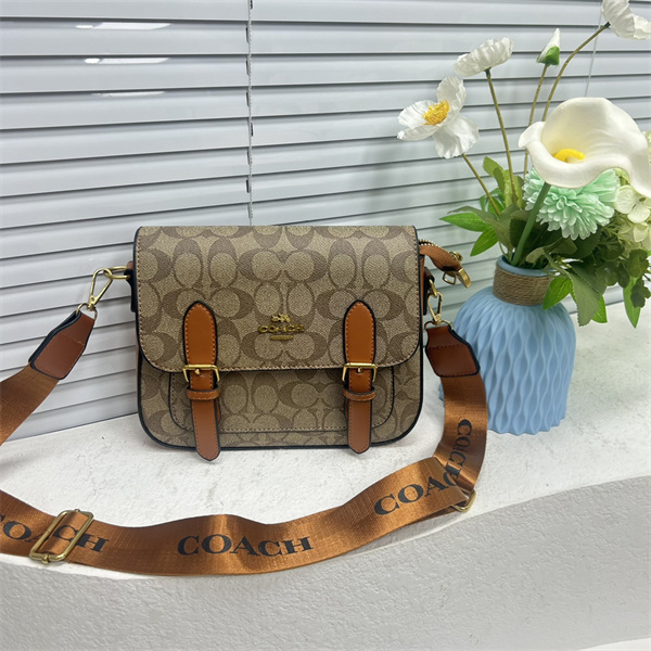 Coach bag-0168