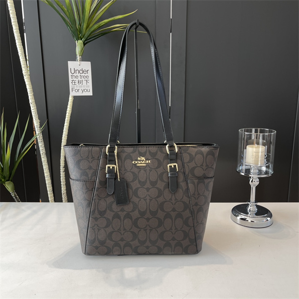 Coach bag-0177